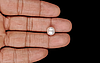 Venezuela Pearl - 5.05 Carat Limited Quality SSP-8929