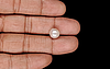 Keshi Pearl - 4.39 Carat Limited Quality SSP-8930