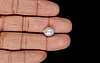 Venezuela Pearl - 5.02 Carat Limited Quality SSP-8931