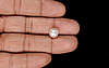 Keshi Pearl - 4.78 Carat Limited Quality SSP-8937