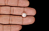 Keshi Pearl - 4.40 Carat Limited Quality SSP-8941