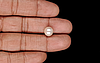 Keshi Pearl - 5.10 Carat Limited Quality SSP-8942