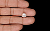 Keshi Pearl - 4.93 Carat Limited Quality SSP-8944