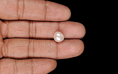 Venezuela Pearl - 5.31 Carat Limited Quality SSP-8945