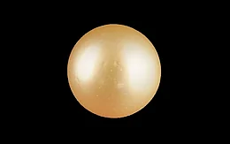 South Sea Pearl - 8.58 Carat Limited Quality SSP-9092