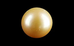 South Sea Pearl - 11.94 Carat Prime Quality SSP-9105