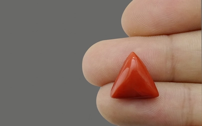 Red Coral - TC 5008 (Origin - Italy) Prime - Quality