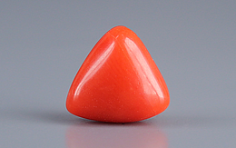 Italian Red Coral - 2.67 Carat Limited Quality TC-5059