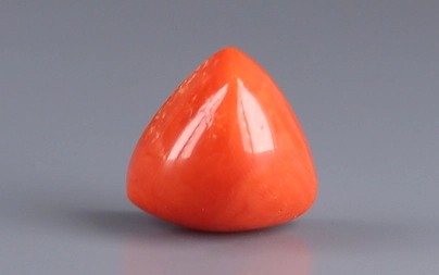 Red Coral - TC 5064 (Origin - Italy) Limited - Quality