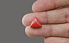 Italian Red Coral - 4.94 Carat Limited Quality TC-5073