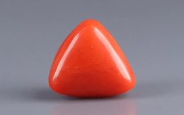 Red Coral - TC 5133 (Origin - Italy) Rare - Quality