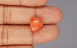 Italian Red Coral - 7.99 Carat Rare Quality TC-5135