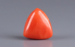 Red Coral - TC 5154 (Origin - Italy) Prime - Quality