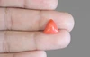 Red Coral - TC 5184 (Origin - Italy) Prime - Quality