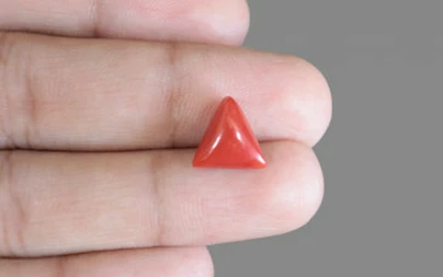 Red Coral - TC 5188 (Origin - Italy) Prime - Quality