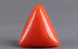 Italian Red Coral - 3.62 Carat Prime Quality TC 5244