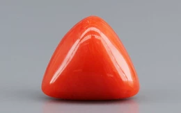 Italian Red Coral - 3.31 Carat Limited-Quality TC-5259