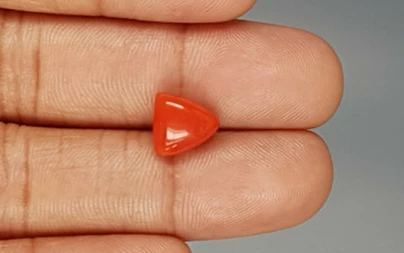 Italian Red Coral - 3.85 Carat Limited-Quality TC-5264