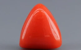 Italian Red Coral - 3.85 Carat Limited-Quality TC-5264