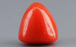 Italian Red Coral - 3.38 Carat Limited-Quality TC-5265