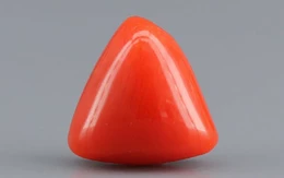 Italian Red Coral - 3.37 Carat Limited-Quality TC-5276