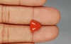 Italian Red Coral - 3.37 Carat Limited-Quality TC-5276