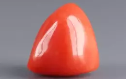 Italian Red Coral - 9.47 Carat Limited-Quality TC-5318