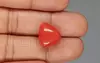 Italian Red Coral - 16.59 Carat Limited-Quality TC-5323