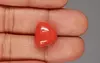 Italian Red Coral - 16.12 Carat Limited-Quality TC-5327