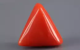 Italian Red Coral - 12.25 Carat Limited-Quality TC-5329