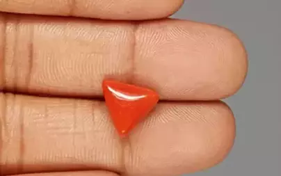 Italian Red Coral - 4.67 Carat Limited-Quality TC-5341