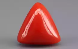 Italian Red Coral - 5.66 Carat Rare Quality TC-5346