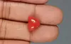 Italian Red Coral - 6.20 Carat Rare Quality TC-5357