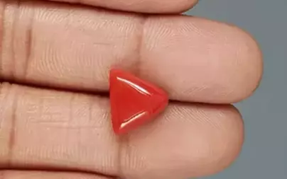 Italian Red Coral - 5.60 Carat Limited Quality TC-5376