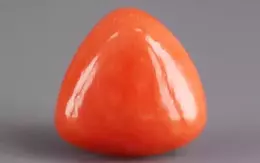 Italian Red Coral - 7.69 Carat Rare Quality TC-5391