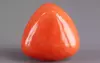 Italian Red Coral - 7.69 Carat Rare Quality TC-5391