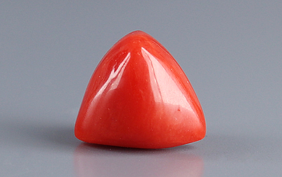 Italian Red Coral - 6.11 Carat Prime Quality TC-5394