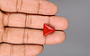 Italian Red Coral - 7.11 Carat Limited Quality TC-5399