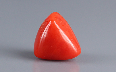 Italian Red Coral - 6.23 Carat Prime Quality TC-5401