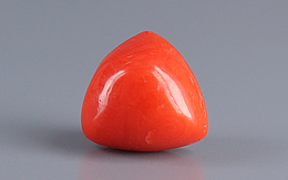 Italian Red Coral - 5.95 Carat Prime Quality TC-5403