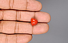 Italian Red Coral - 5.95 Carat Prime Quality TC-5403