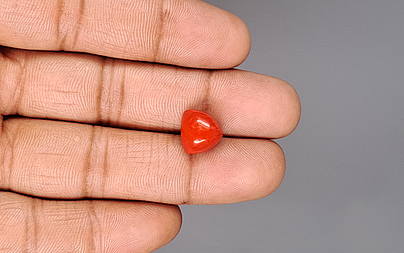 Italian Red Coral - 5.77 Carat Prime Quality TC-5404