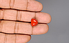 Italian Red Coral - 5.77 Carat Prime Quality TC-5404