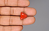 Italian Red Coral - 8.36 Carat Limited Quality TC-5408