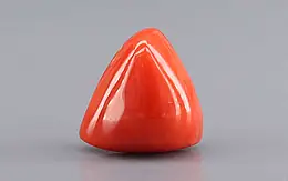 Japanese Red Coral - 7.76 Carat Rare Quality TC-5409