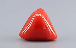 Italian Red Coral - 7.73 Carat Limited Quality TC-5410