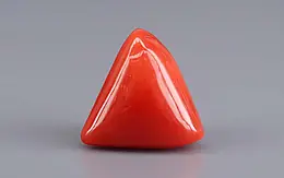Italian Red Coral - 10.12 Carat Limited Quality TC-5414