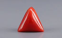 Italian Red Coral - 7.94 Carat Prime Quality TC-5418