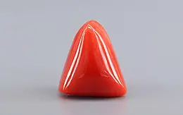Italian Red Coral - 7.70 Carat Rare Quality TC-5426