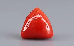 Italian Red Coral - 7.68 Carat Prime Quality TC-5430